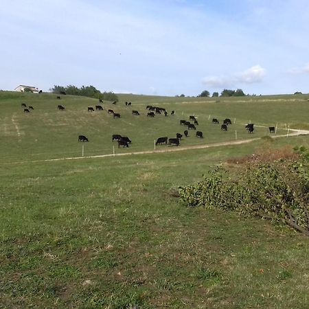 Вілла Agriturismo Preele Ferrara di Monte Baldo Екстер'єр фото